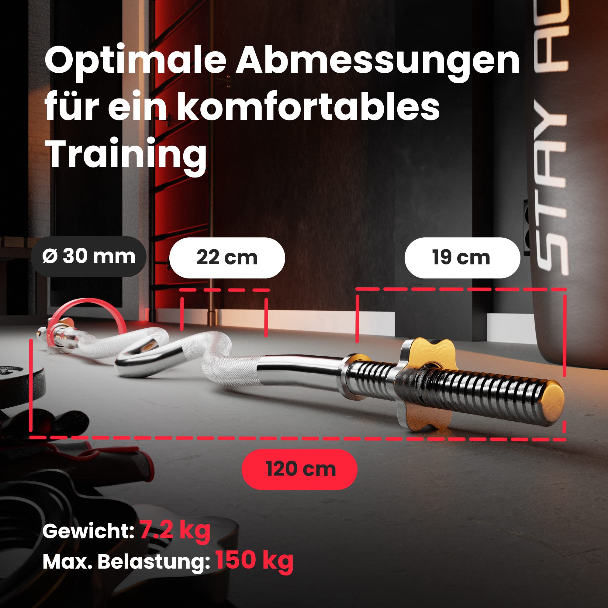 Hop-Sport Hantelbank mit Curlpult, Butterfly, Beincurler & klappbarer Trainingsbank, inkl. 129,5 kg Hantelset, SZ-Stange, Langhantel, Kurzhanteln – Fitnessbank für Heimtraining